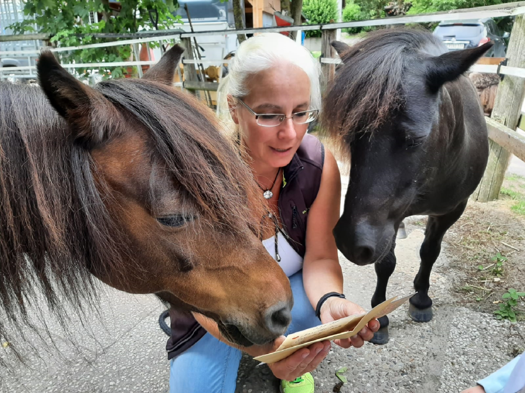 Shetty Lesen